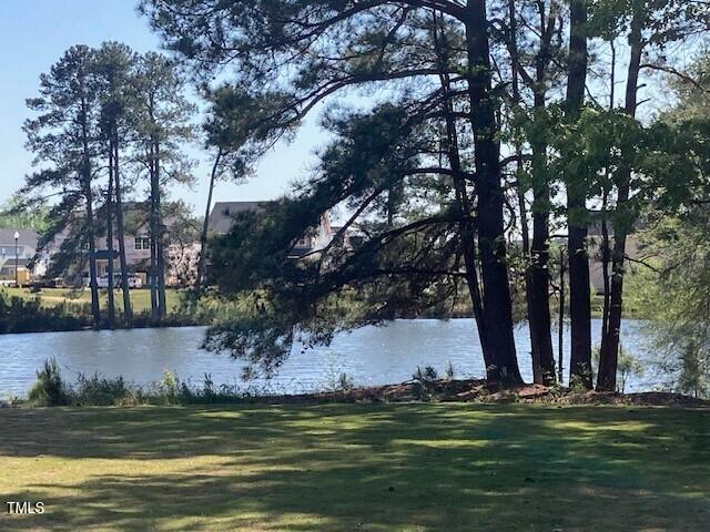 257 N Maple Walk Dr Unit 218, Garner, NC 27529 - water view