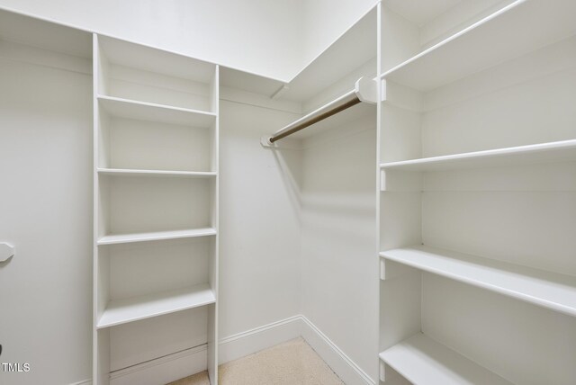 1210 Brooks Ave, Raleigh, NC 27607 - view of spacious closet
