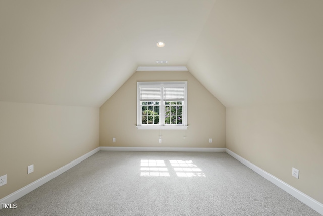 1210 Brooks Ave, Raleigh, NC 27607 - additional living space featuring carpet, baseboards, and lofted ceiling
