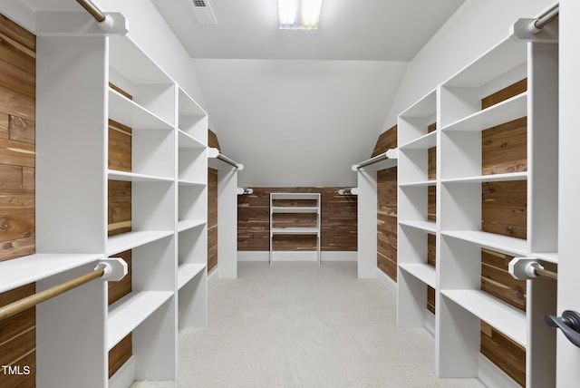 1210 Brooks Ave, Raleigh, NC 27607 - spacious closet with lofted ceiling and light carpet