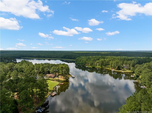16661 Forest Fern Ct, Wagram, NC 28396 - aerial view of a heavily wooded area and a nearby body of water