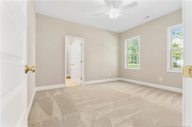 16661 Forest Fern Ct, Wagram, NC 28396 - photo 13