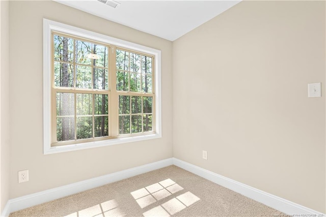 16661 Forest Fern Ct, Wagram, NC 28396 - photo 25