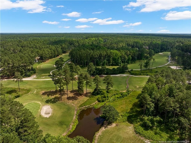 16661 Forest Fern Ct, Wagram, NC 28396 - photo 34