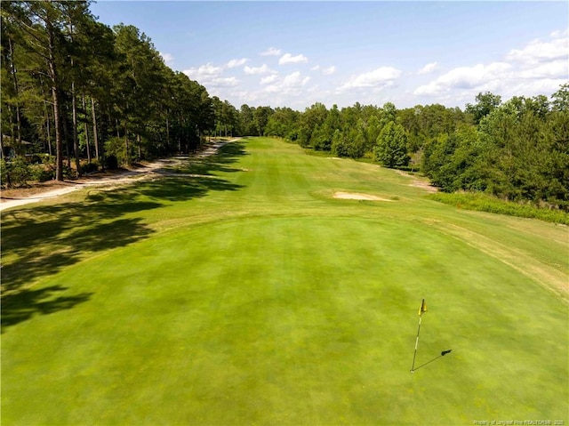 16661 Forest Fern Ct, Wagram, NC 28396 - photo 36