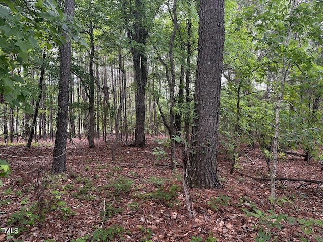 00 Bearpond Rd, Henderson, NC 27537