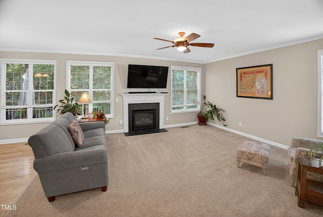 1437 Lindenberg Sq, Wake Forest, NC 27587 - living room with crown molding, ceiling fan, and a fireplace with flush hearth