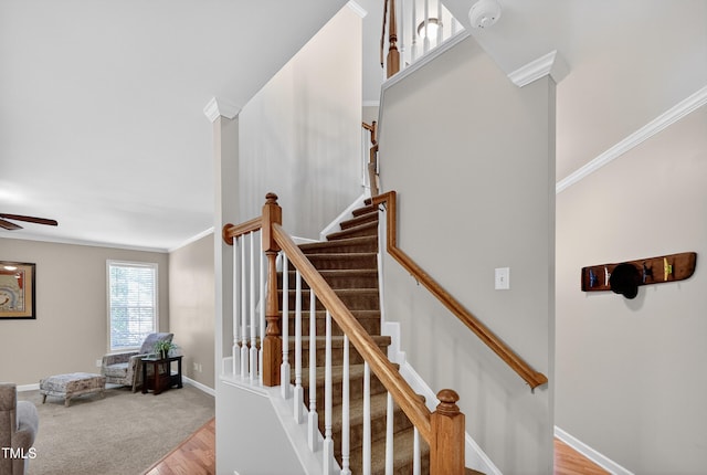 1437 Lindenberg Sq, Wake Forest, NC 27587 - stairway with ornamental molding, wood finished floors, and a ceiling fan