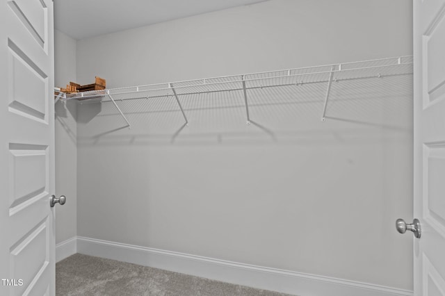 2012 Sweet Samson St, Wake Forest, NC 27587 - spacious closet featuring carpet floors