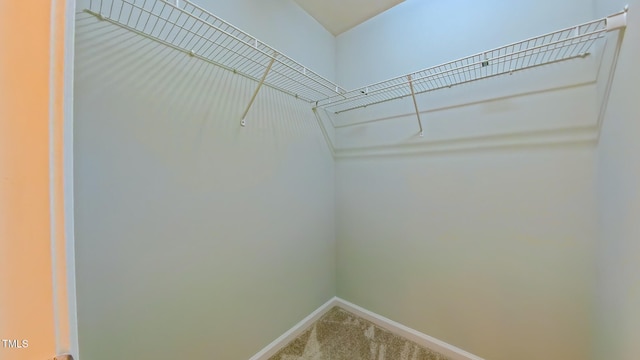 151 Braeside Ct, Cary, NC 27519 - walk in closet with carpet