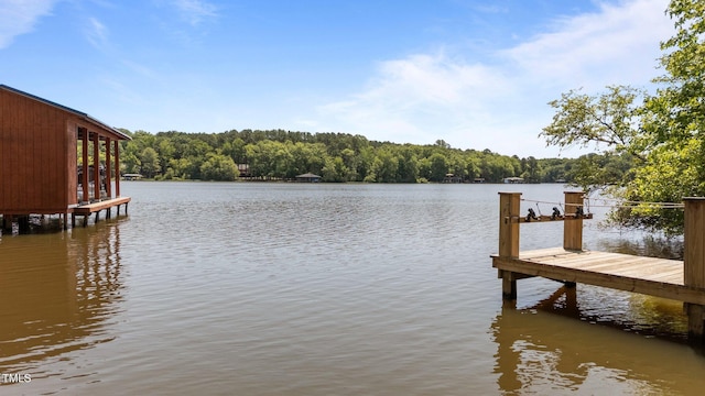 428 Long Branch Dr, Lacrosse, VA 23950 - dock featuring a water view and a view of trees