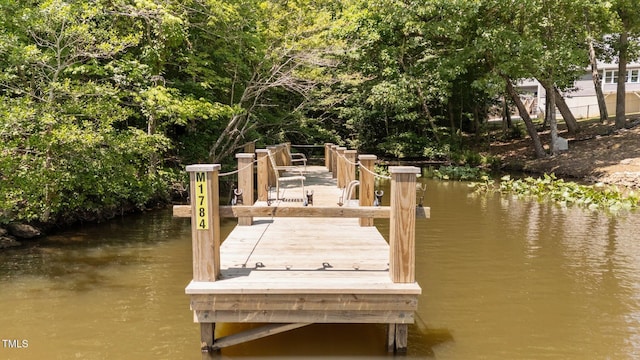 428 Long Branch Dr, Lacrosse, VA 23950 - dock featuring a water view