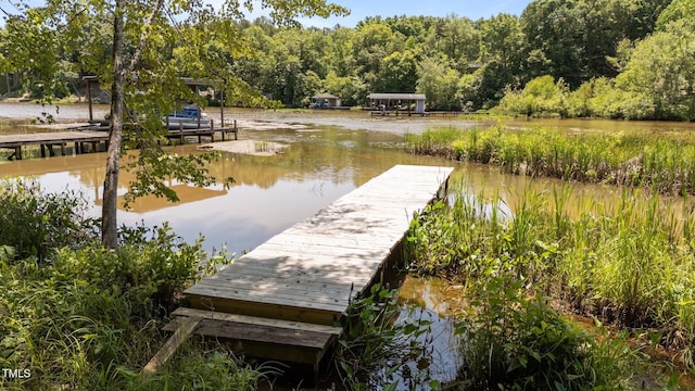 428 Long Branch Dr, Lacrosse, VA 23950 - dock area with a forest view and a water view