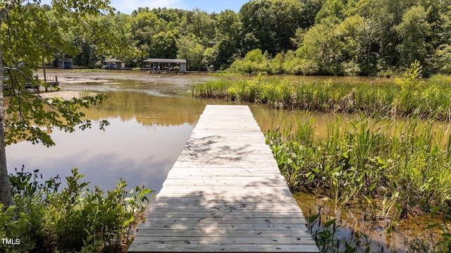 428 Long Branch Dr, Lacrosse, VA 23950 - dock area featuring a forest view and a water view