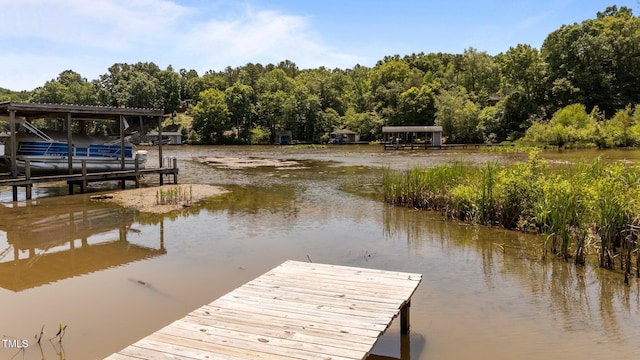 428 Long Branch Dr, Lacrosse, VA 23950 - dock with a water view and a wooded view