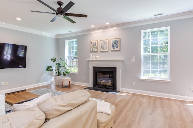 12320 Tetons Ct, Durham, NC 27703 - living room with ornamental molding, healthy amount of natural light, light wood-type flooring, a fireplace with flush hearth, and ceiling fan