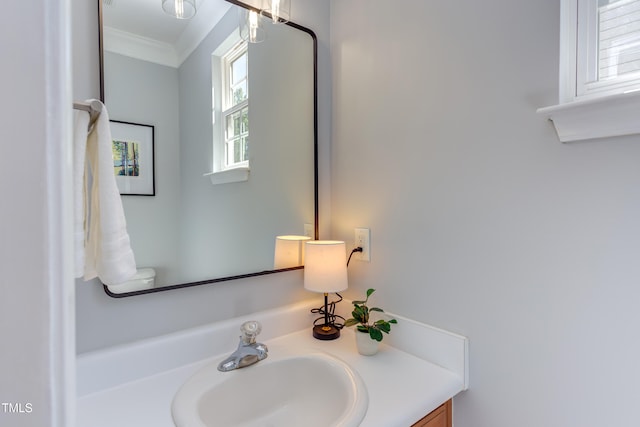 12320 Tetons Ct, Durham, NC 27703 - bathroom featuring plenty of natural light, vanity, and ornamental molding