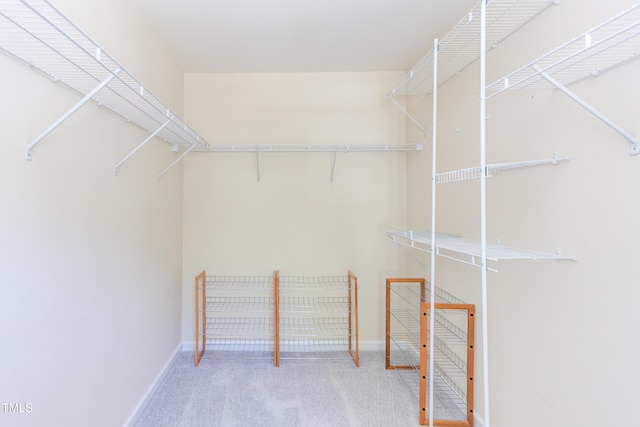 12320 Tetons Ct, Durham, NC 27703 - walk in closet with carpet