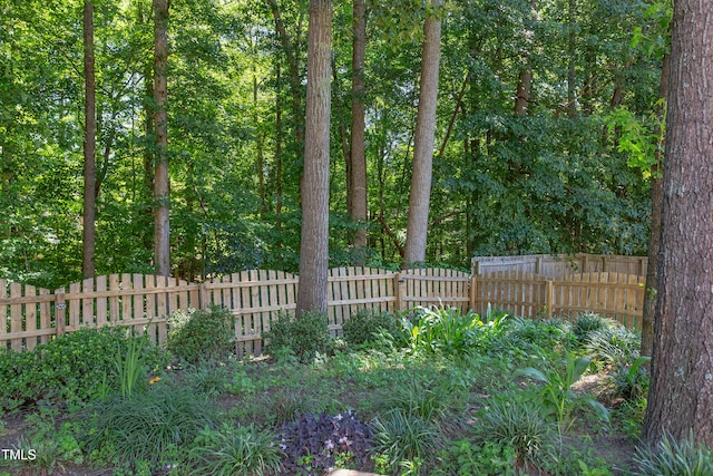 12320 Tetons Ct, Durham, NC 27703 - view of yard