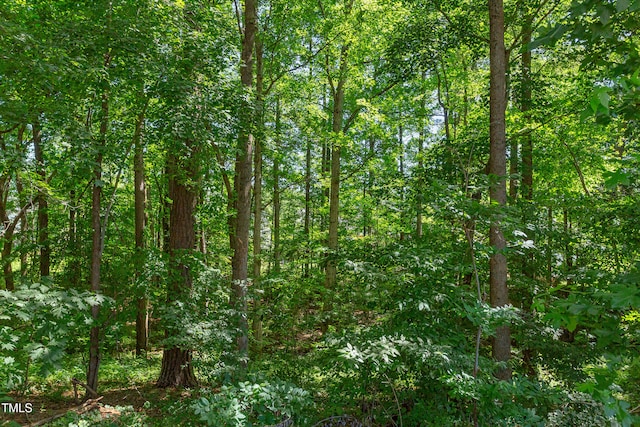 12320 Tetons Ct, Durham, NC 27703 - view of woods