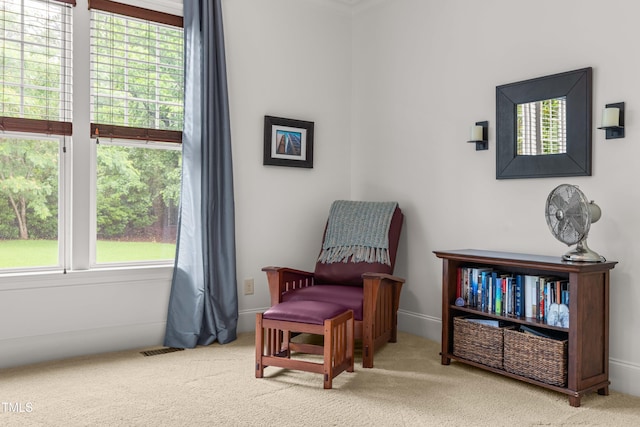 2538 Tuffeto, Apex, NC 27502 - living area featuring carpet floors