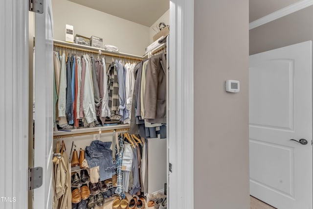3111 Virginia Pine Ln, Apex, NC 27539 - view of walk in closet