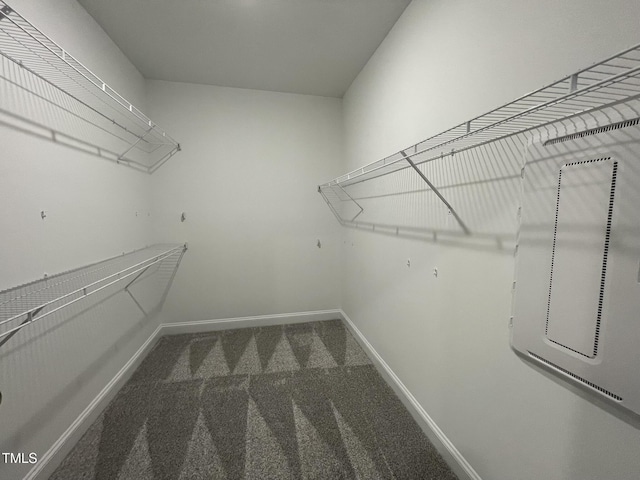 268 Busterfield Ct, Benson, NC 27504 - spacious closet with carpet