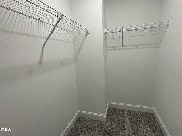 268 Busterfield Ct, Benson, NC 27504 - spacious closet with carpet floors