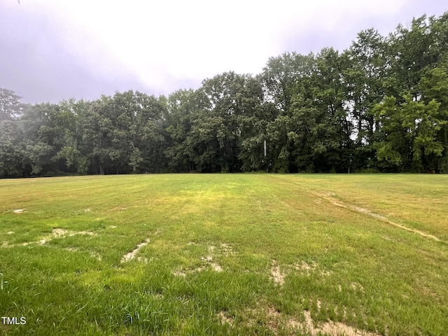 268 Busterfield Ct, Benson, NC 27504 - view of grassy yard featuring a forest view