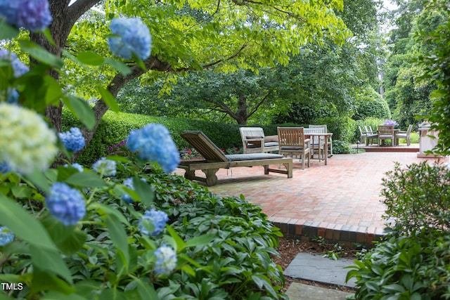 3307 Devon Rd, Durham, NC 27707 - view of patio