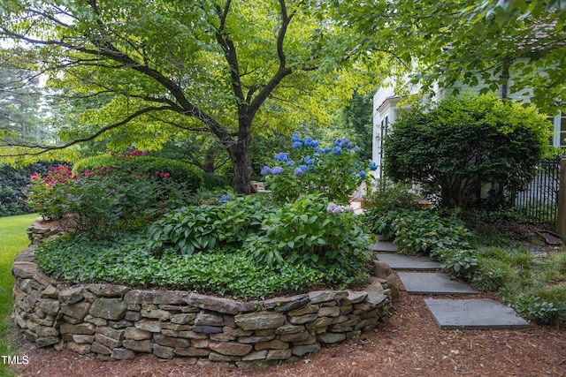 3307 Devon Rd, Durham, NC 27707 - view of yard