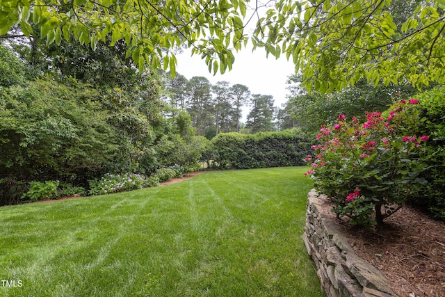 3307 Devon Rd, Durham, NC 27707 - view of green lawn