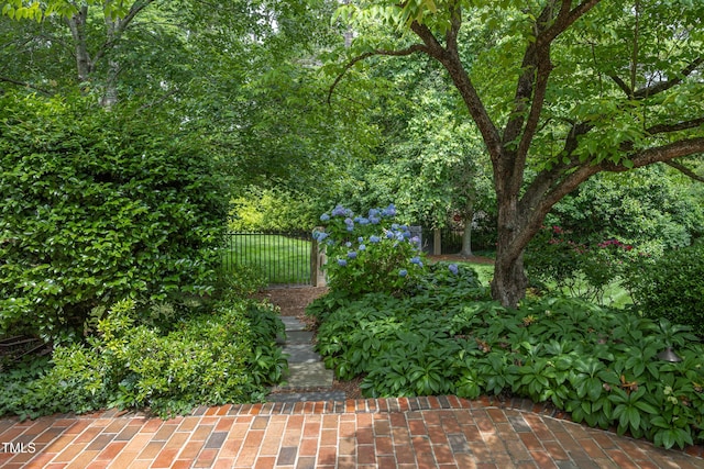 3307 Devon Rd, Durham, NC 27707 - view of surrounding community