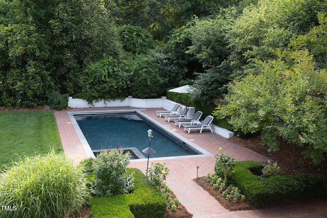 3307 Devon Rd, Durham, NC 27707 - view of swimming pool with a patio area and a yard