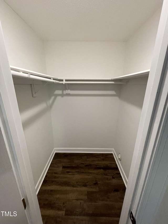 3522 Ivy Commons Dr Unit 101, Raleigh, NC 27606 - spacious closet with dark wood-type flooring