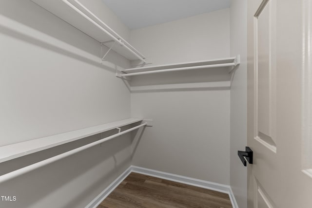 708 Powell Dr Unit B, Raleigh, NC 27606 - walk in closet featuring dark wood finished floors