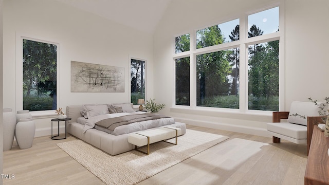 5013 Coronado, Raleigh, NC 27609 - living room featuring wood finished floors, high vaulted ceiling, and baseboards