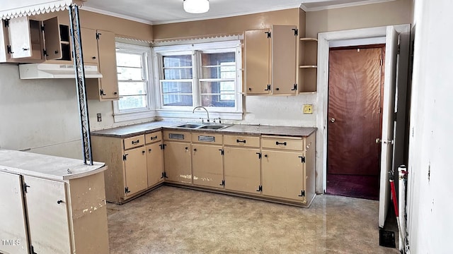 823 Dixon St, Kinston, NC 28501 - kitchen with a sink, crown molding, cream cabinets, open shelves, and range hood