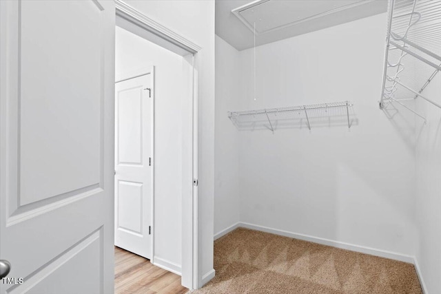 346 E Painted Way, Clayton, NC 27527 - walk in closet with attic access and light colored carpet