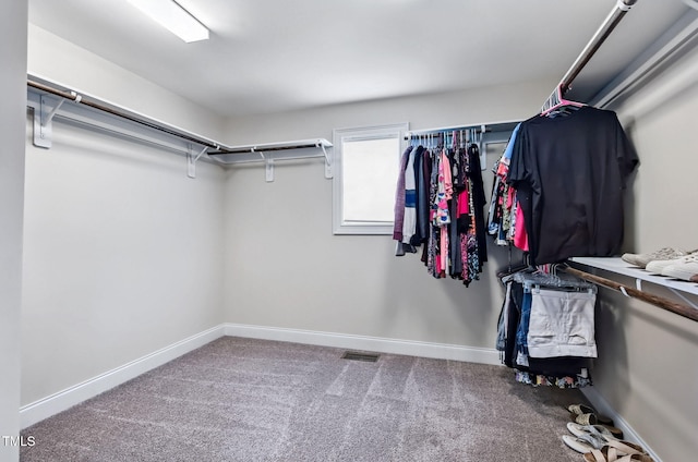 2100 Della Ct, Apex, NC 27502 - spacious closet with carpet