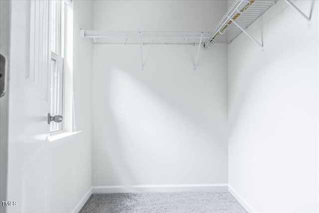 145 Torrey Heights Ln, Durham, NC 27703 - view of spacious closet