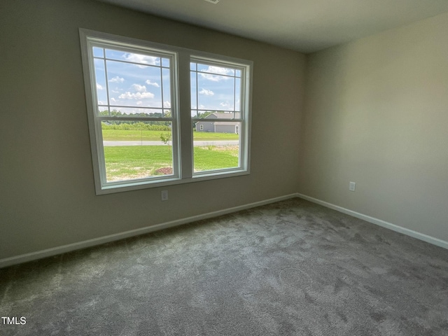 226 Bonsai Way, Four Oaks, NC 27524 - carpeted empty room with plenty of natural light