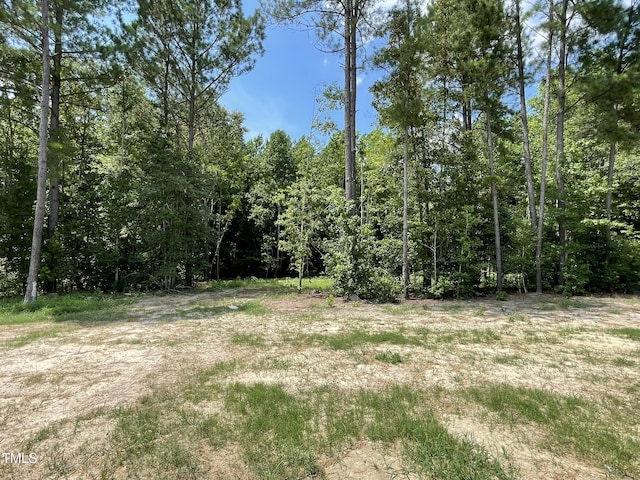 226 Bonsai Way, Four Oaks, NC 27524 - view of wooded area