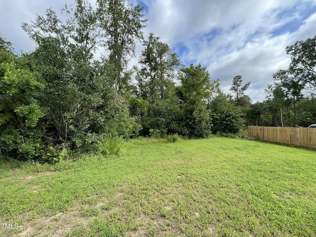 305 Touchdown Way, Benson, NC 27504 - photo 20