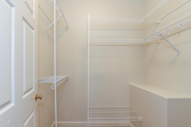 128 Olde Manor Ct, Siler City, NC 27344 - view of spacious closet