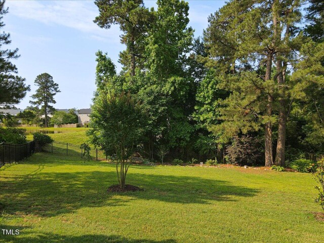 947 Middle Ground Ave, Rolesville, NC 27571 - view of yard