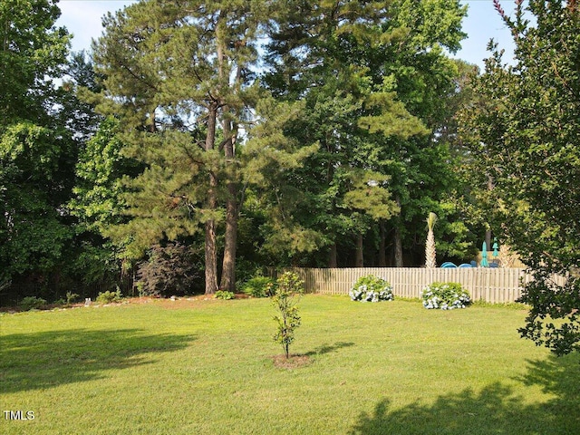 947 Middle Ground Ave, Rolesville, NC 27571 - view of yard