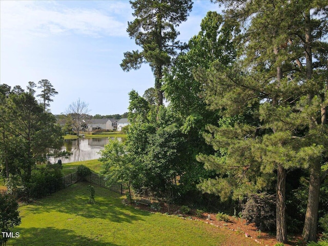 947 Middle Ground Ave, Rolesville, NC 27571 - view of yard featuring a water view
