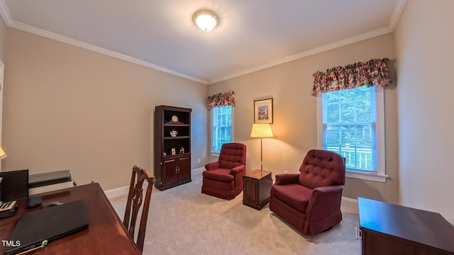 119 Georgetowne Dr, Elon, NC 27244 - office space featuring crown molding, light carpet, and baseboards