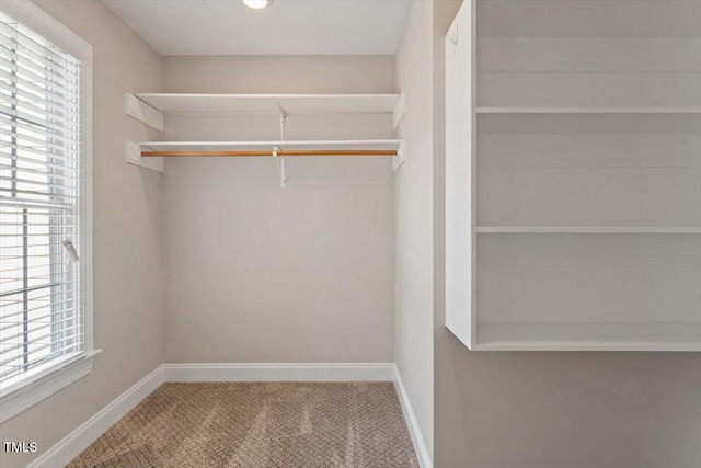 2822 Pickett Rd Unit 132, Durham, NC 27705 - spacious closet with carpet